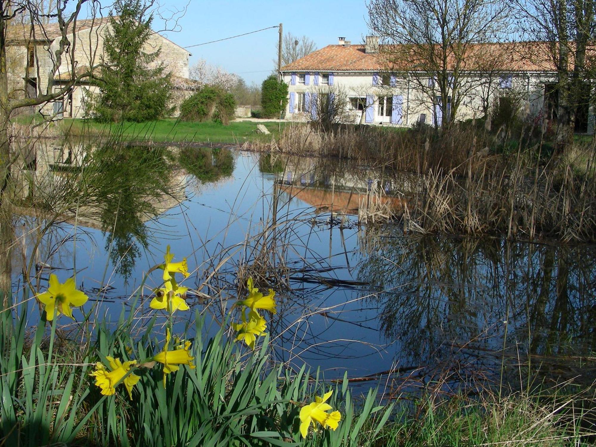 Chambres D'Hotes Entre Niort Et Marais Poitevin Bessines Eksteriør bilde